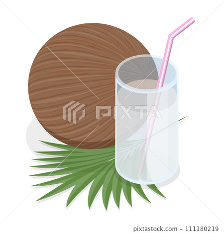 3D Isometric Flat Vector Set of Cocount Elements. Item 2 3D Isometric Flat Vector Set of Cocount Elements. Item 2 111180219