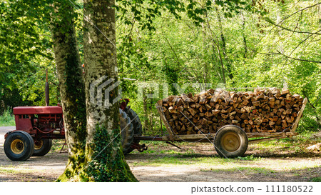 Pile of wood wooden logs on wagon in forest Pile of wood wooden logs on wagon in forest 111180522