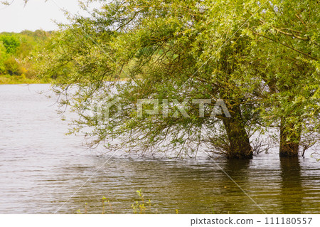 Lake landscape in France Lake landscape in France 111180557