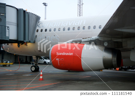 COPENHAGEN, DENMARK - NOV 24, 2018: Airbus A320 from SAS Scandinavian Airlines at the gate close-up photo of the red engine 111181540