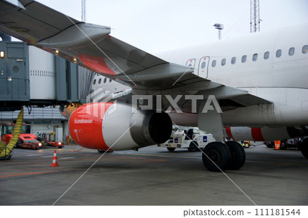 COPENHAGEN, DENMARK - NOV 24, 2018: Airbus A320 from SAS Scandinavian Airlines at the gate close-up photo of the red engine 111181544