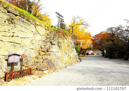 Tsurugajo warrior race and autumn leaves/Aizuwakamatsu City, Fukushima Prefecture 111181787