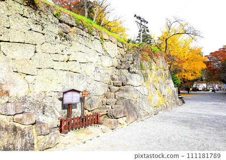 Tsurugajo warrior race and autumn leaves/Aizuwakamatsu City, Fukushima Prefecture 111181789