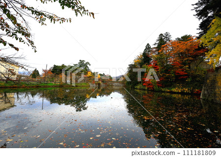 Autumn leaves at Tsurugajo Park/Aizuwakamatsu City, Fukushima Prefecture 111181809