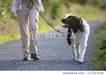 Teen girl walking with his dog 111181836