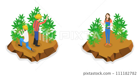 3D Isometric Flat  Conceptual Illustration of Hemp Farm, Marijuana Production 111182782