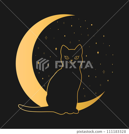 Black cat sitting on a crescent. Magic and sorcery background. Vector illustration 111183328