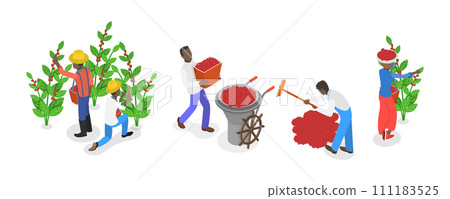 3D Isometric Flat  Conceptual Illustration of Coffee Plantation, Picking Harvesting Ripe Berries 111183525