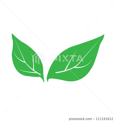 Leaf icon Leaf icon 111183812