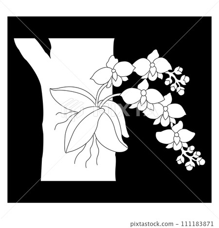 Orchid flower icon Orchid flower icon 111183871