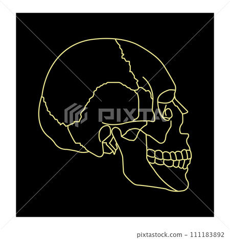 Human skull icon 111183892