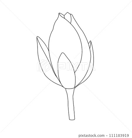 Lotus flower icon Lotus flower icon 111183919