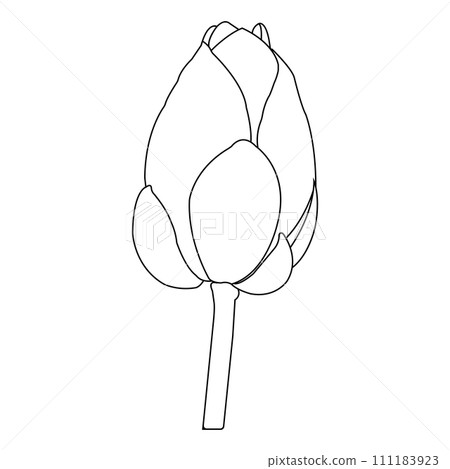 Lotus flower icon 111183923