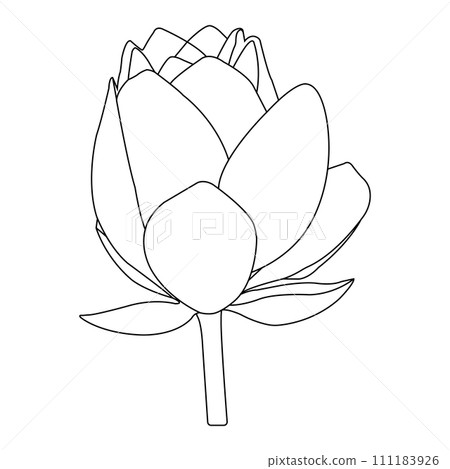 Lotus flower icon 111183926