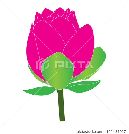 Lotus flower icon Lotus flower icon 111183927