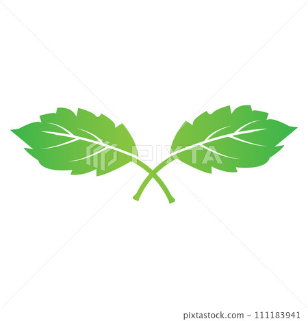 Leaf icon 111183941