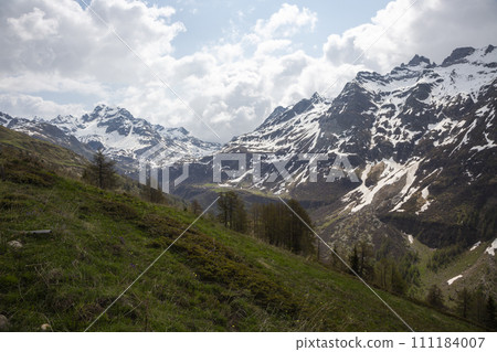 Beautiful panoramic view of idyllic alpine mountain meadow in Switzerland Beautiful panoramic view of idyllic alpine mountain meadow in Switzerland 111184007