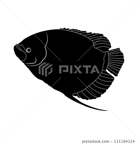 Fish logo 111184124