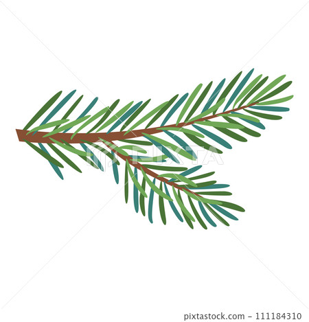 Christmas Larch, Pine, spruce branch. Christmas Larch, Pine, spruce branch. 111184310