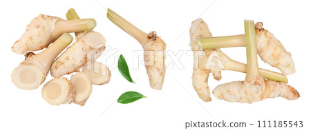 Fresh galangal root with slices isolated on white background with full depth of field. Top view. Flat lay 111185543