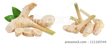 Fresh galangal root with slices isolated on white background with full depth of field. 111185544