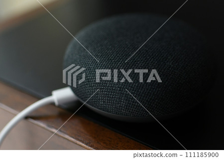 Black physical microphone switch button with cable Smart home device bluetooth speaker lit up 111185900