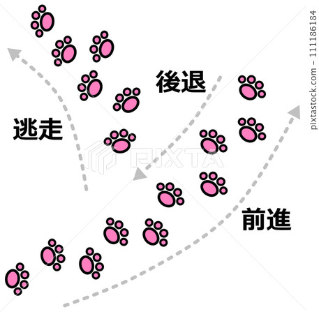 Illustrated explanation of an animal stopping its footprints in order to disturb its pursuers 111186184