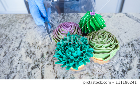 Using buttercream frosting, vanilla and chocolate cupcakes are intricately decorated to resemble various types of cactuses, creating a delightful and visually engaging dessert that showcases 111186241