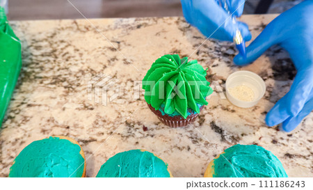 Using buttercream frosting, vanilla and chocolate cupcakes are intricately decorated to resemble various types of cactuses, creating a delightful and visually engaging dessert that showcases Using buttercream frosting, vanilla and chocolate cupcakes are intricately decorated to resemble various types of cactuses, creating a delightful and visually engaging dessert that showcases 111186243