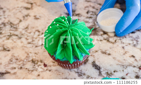 Using buttercream frosting, vanilla and chocolate cupcakes are intricately decorated to resemble various types of cactuses, creating a delightful and visually engaging dessert that showcases Using buttercream frosting, vanilla and chocolate cupcakes are intricately decorated to resemble various types of cactuses, creating a delightful and visually engaging dessert that showcases 111186255