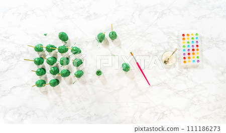 Flat lay. Decorating cactus cake pops with luster dust, sugar glower, and white sprinkles for the Cinco de Mayo celebration. Flat lay. Decorating cactus cake pops with luster dust, sugar glower, and white sprinkles for the Cinco de Mayo celebration. 111186273