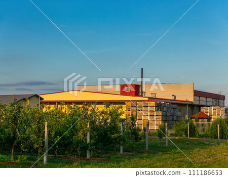 A large stack of wooden boxes for picking apples in an apple orchard. 111186653