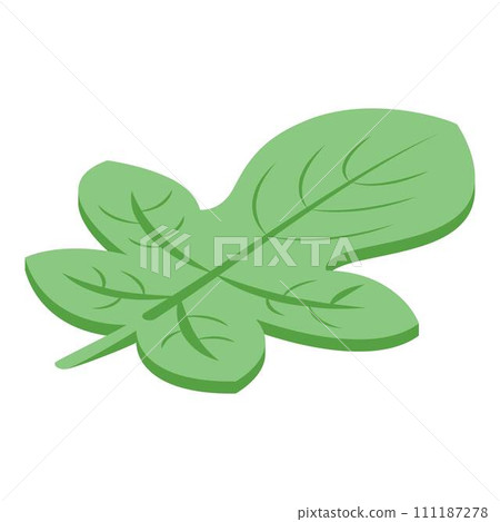 Figs leaf icon. Isometric of figs leaf vector icon for web design isolated on white background Figs leaf icon. Isometric of figs leaf vector icon for web design isolated on white background 111187278