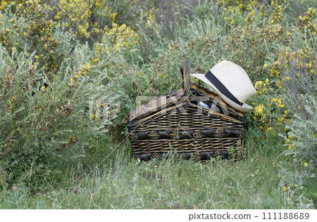 A wicker picnic basket stands on green grass on a hot summer day. A wicker picnic basket stands on green grass on a hot summer day. 111188689