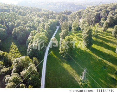 Aerial view of sunny day beautiful forest area with trees and road Aerial view of sunny day beautiful forest area with trees and road 111188719