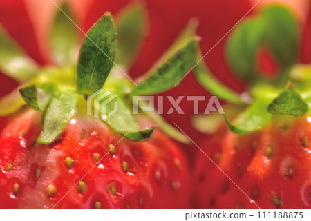又到了好吃的季節了 又到了好吃的季節了 111188875