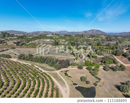 Aerial view over Rancho Santa Fe green valley landscape in San Diego Aerial view over Rancho Santa Fe green valley landscape in San Diego 111188893