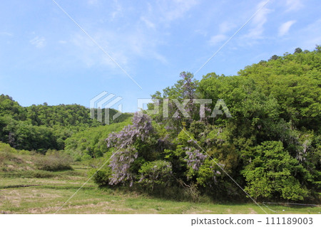 山富士、山富士、高原、神鍋(兵庫縣) 山富士、山富士、高原、神鍋(兵庫縣) 111189003
