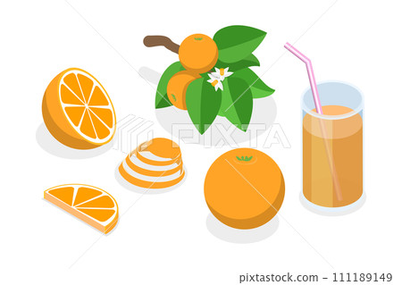3D Isometric Flat  Set of Orange Fruit 111189149
