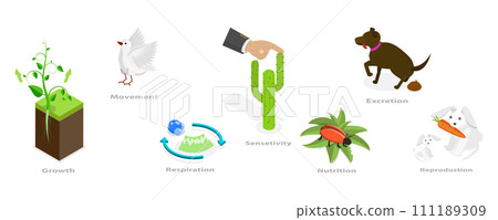 3D Isometric Flat Conceptual Illustration of Characteristics Of Living Things 3D Isometric Flat Conceptual Illustration of Characteristics Of Living Things 111189309
