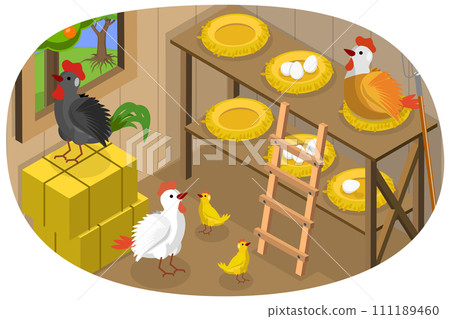 3D Isometric Flat Conceptual Illustration of Chicken Barn 3D Isometric Flat Conceptual Illustration of Chicken Barn 111189460