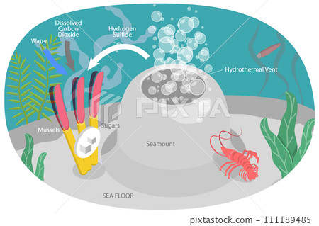3D Isometric Flat  Conceptual Illustration of Chemosynthesis 3D Isometric Flat  Conceptual Illustration of Chemosynthesis 111189485