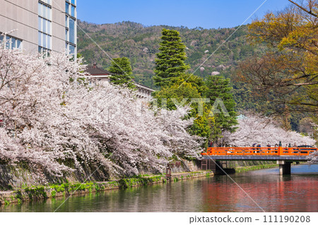 櫻花的春天京都岡崎運河風景 櫻花的春天京都岡崎運河風景 111190208