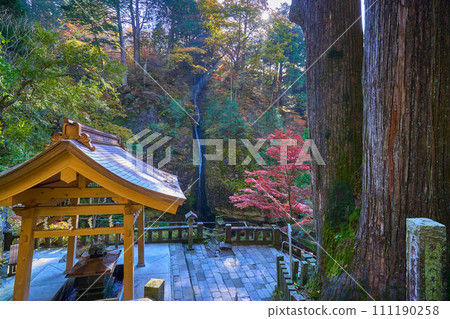 View of Misuzunotaki at Haruna Shrine through Yatatecedar in autumn in Takasaki City, Gunma Prefecture 111190258