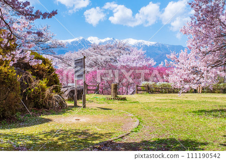 Okusajoshi Park (Spring) 111190542