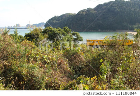 Diesel car on the Nichinan Line Aburatsu - Odotsu Miyazaki Prefecture 111190844