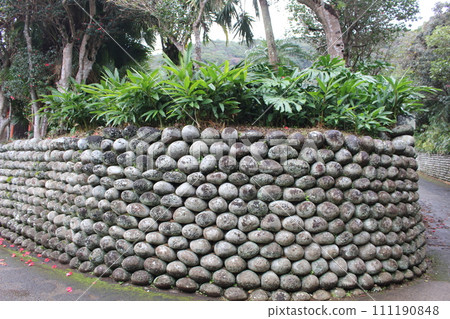 Osato's Tama Ishigaki, a jade wall with a sense of history, Hachijojima, Tokyo 111190848