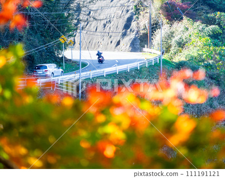 Autumn scenery in Minamiboso: Beautiful autumn leaves along Momiji Road and the Shikoma River 111191121