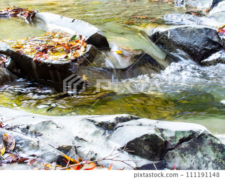 Autumn scenery in Minamiboso: Beautiful autumn leaves along Momiji Road and the Shikoma River Autumn scenery in Minamiboso: Beautiful autumn leaves along Momiji Road and the Shikoma River 111191148