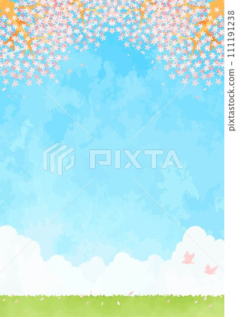 Landscape illustration of cherry blossoms and blue sky 111191238